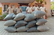 छोटीसादड़ी पुलिस ने 222 किलो डोडा-चूरा किया जब्त, पुलिस को चकमा देकर आरोपी फरार