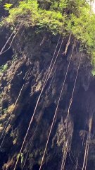 Green canyon pangandaran Indonesia#fyp