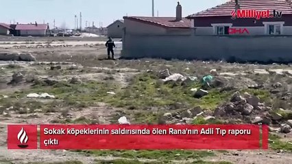 2 yaşındaki Rana'nın kahreden sonu! Adli Tıp raporu çıktı