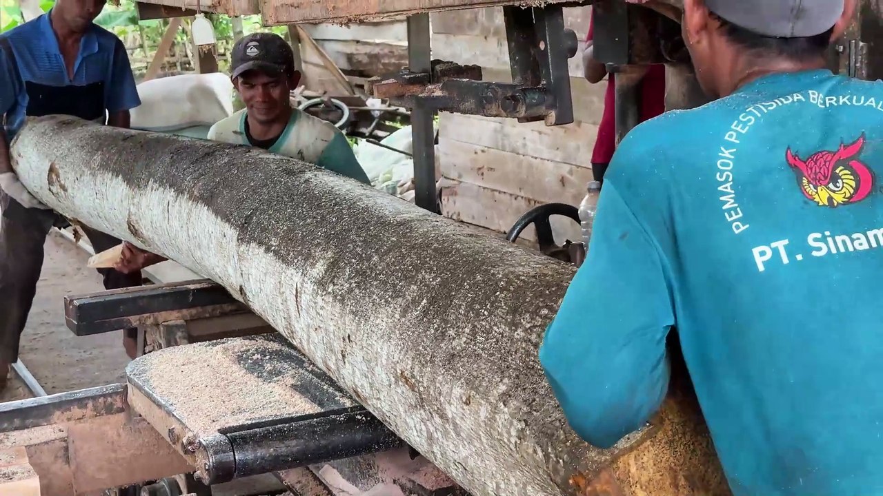 Sawing Wood 2x20 Beginner Tips Using a Sawmill Machine