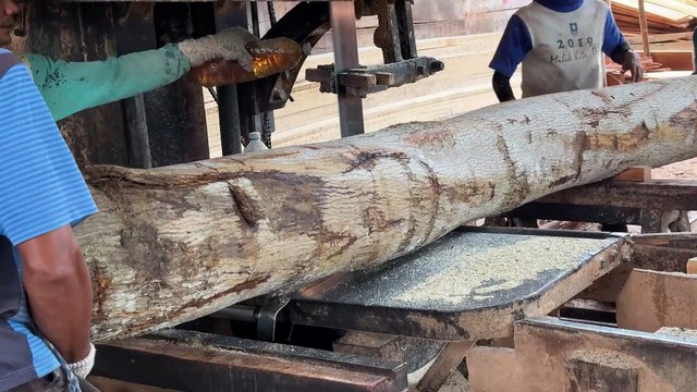 Sawing 2x20 Wood with Sawmill Complete Tutorial