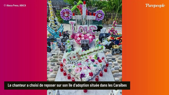 A Saint-Barth, séjourner une semaine dans la villa de Johnny Hallyday coûte aussi cher qu’un studio en région parisienne