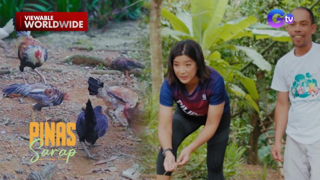 Tradisyonal na panghuhuli ng manok ng mga Aklanon, sinubukan ni Kara David! | Pinas Sarap