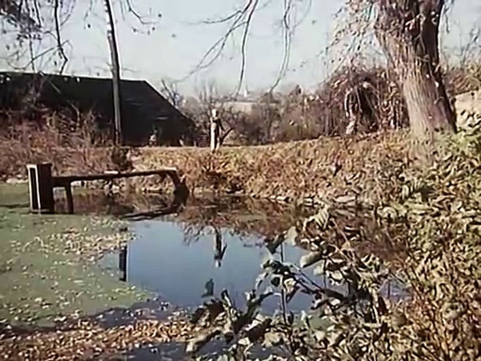 Pan Tau S02E08-Pan Tau und vereinzelt Sonnenschein