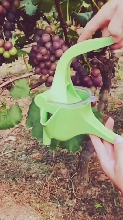 Smart Appliances Gadgets for every Home🥰 | New Gadgets | new inventions & ideas | Smart kitchen Gadgets