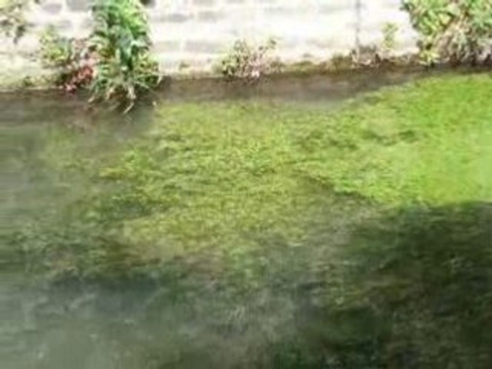 En cascade