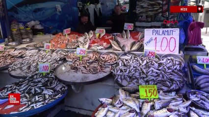 Rize'de deniz suyu ısındı: Balık tezgahlarını etkiledi