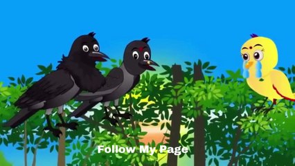 Rano Chidiya Nh Banya Kalo Kawe Ko bewaquf Tuntuni chidiya Cartoon | Hindi Kahani |