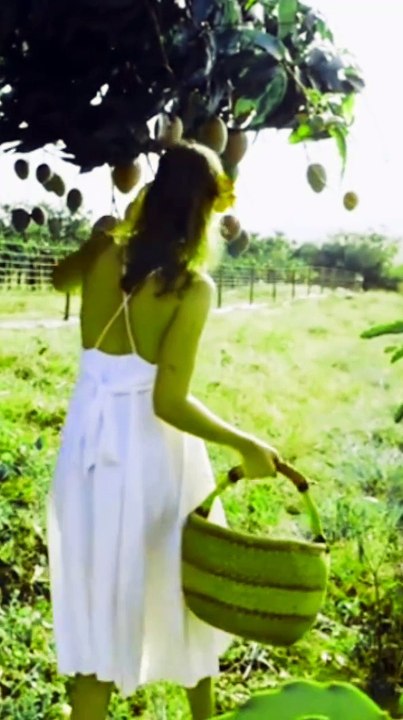 Cutest Girl Picks Dragon Fruit! #drago #dragonfruit #girl #girls #beautiful #fruit