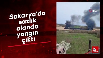 Sakarya'da sazlık alanda yangın çıktı