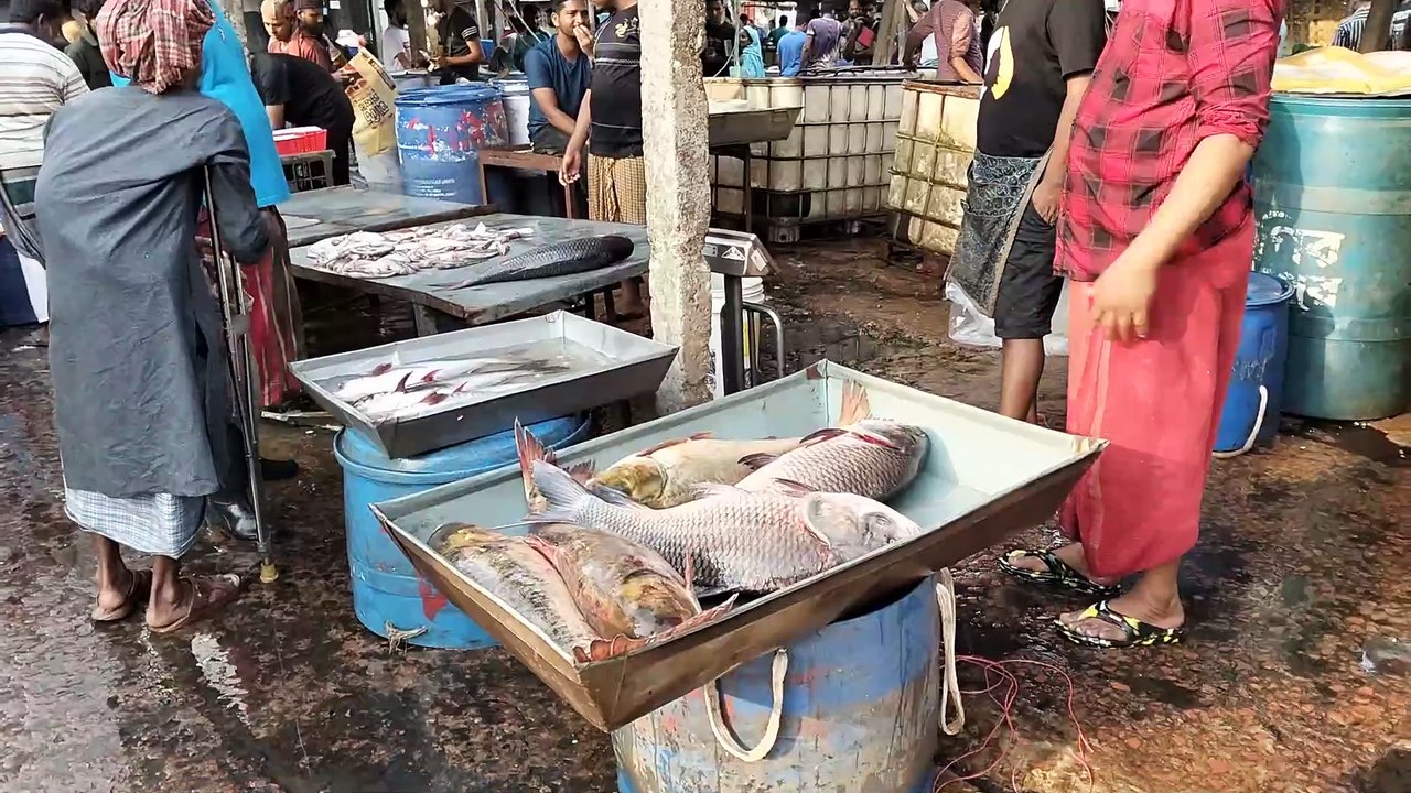 Amazing South Asian Local Fish Market Tour | Fresh Seafood, Culture & Street Food!