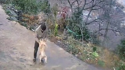 Caught on Camera: Hilarious Fails You Can’t Unsee