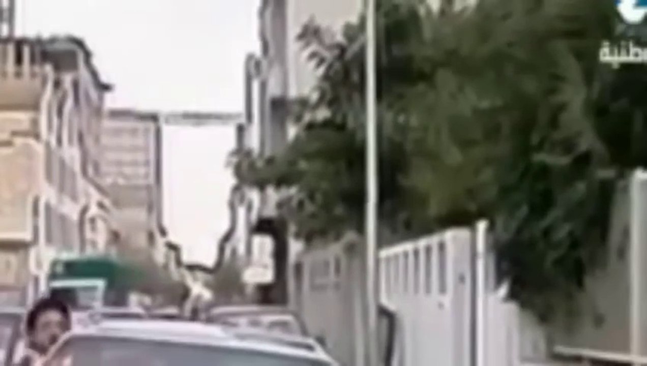 Sahbek Rajel Episode 16 - صاحبك راجل الحلقة 16 - Vidéo Dailymotion