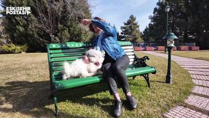 Başkan Ünlüce'den Eskişehirlilere: "Hayvan satın almayın, sahiplenin"