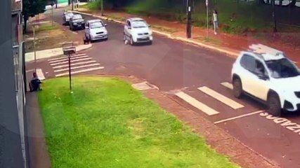 Câmera flagra cão sendo atropelado por carro na Rua Tupiniquins