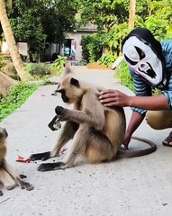 😂__funny __shorts _laugh _memes _laugh _comedycartoon