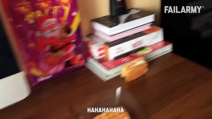 Funny Cat Fails Funny Cat Compilation FailArmy