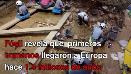 Fósil revela que los primeros humanos llegaron a Europa hace 1.4 millones de años