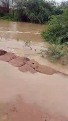 Crecida del Pilcomayo: el agua llega al borde de la ruta 54, altura Misión La Merced