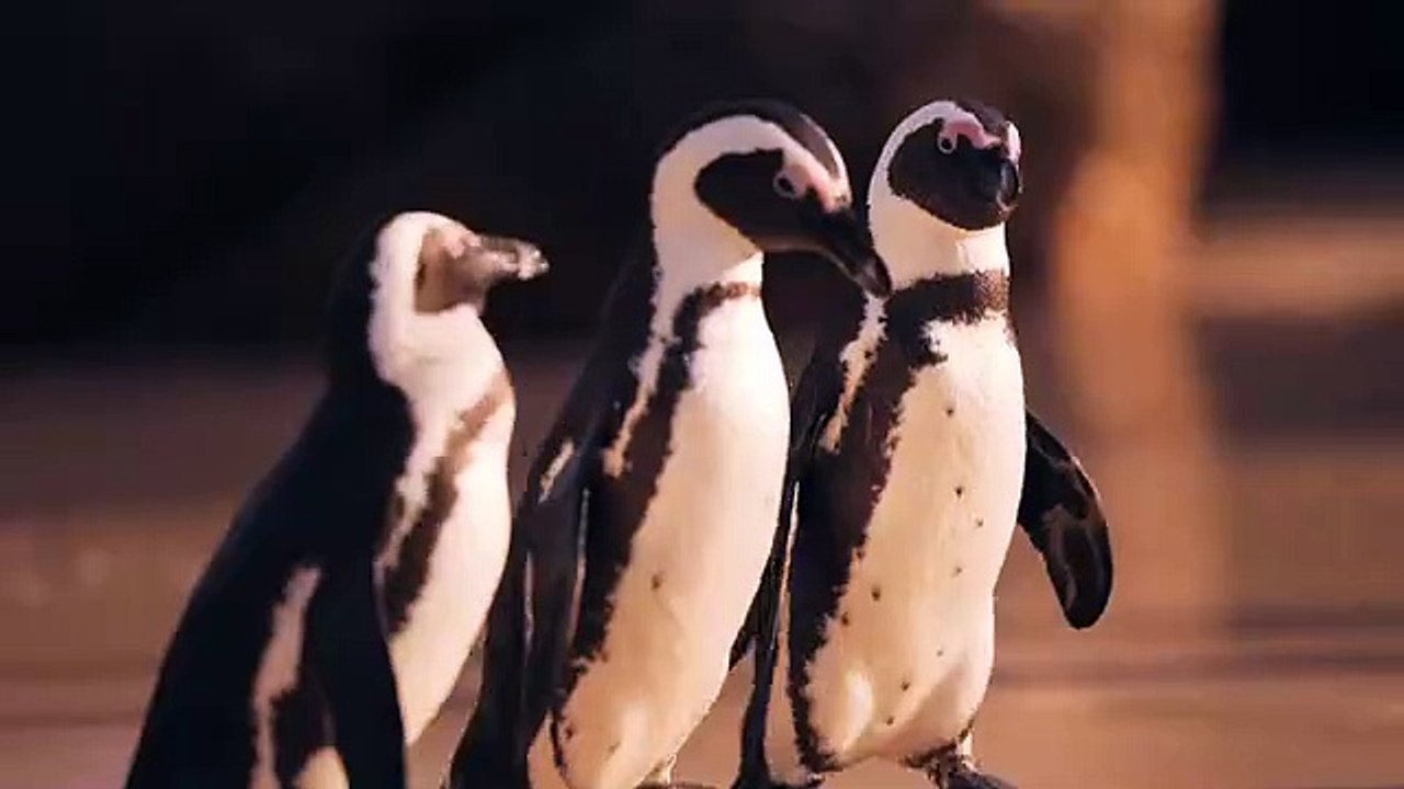 Friends Forever