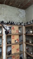 Subscribe Our YouTube Channel For Complete Videos