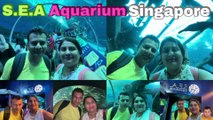 Sea Aquarium Singapore Memories | Resorts World Sentosa | Singapore | Singapore Oceanarium | Saltwater Aquarium | Aquarium | Memories | Tour