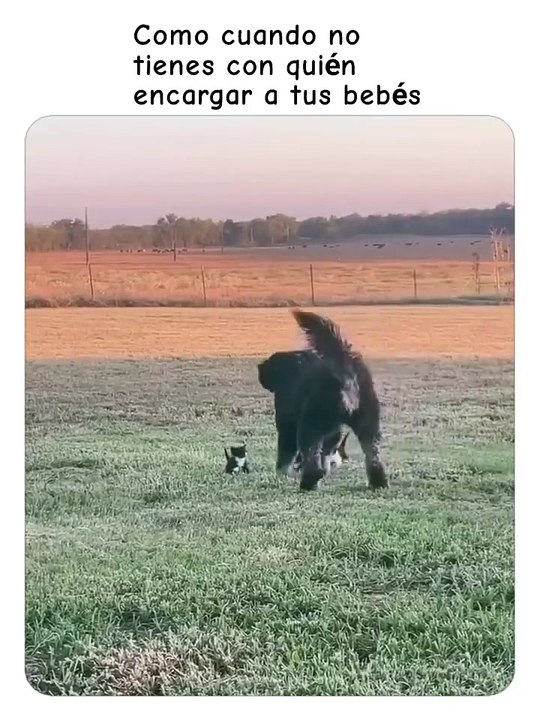 La niñera ideal: un tesoro invaluable