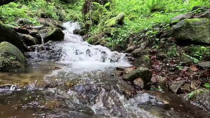 "Bien-être" Eau Bulle Feuille   - Relaxation - Détente