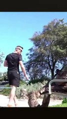 "Hilarious Comedy Videos That Will Make You Laugh