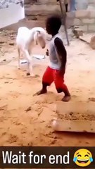 "Hilarious Comedy Videos That Will Make You Laugh