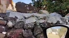 5 yıl önce ölümün kıyısında bulduğu kediyi, bulunduğu noktaya her sabah bırakıp akşam alan adam
