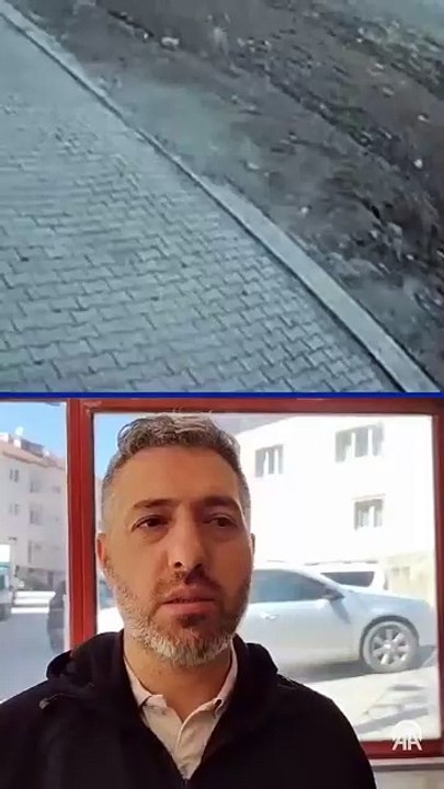 Başıboş köpek terörü herkesin canına tak etti! Yedi düvele meydan oku, bir başıboş köpek meselesini çözeme: Yeter artık!