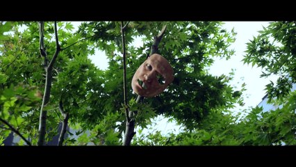 D21 FUN Tik tok 2016 mp4