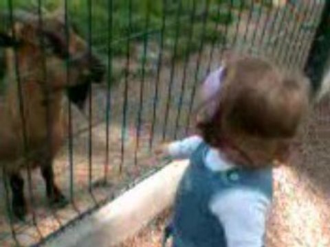 Océane et les bikettes