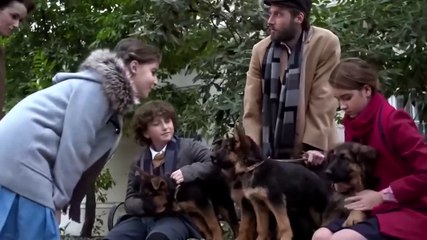 Camino hacia la libertad (2020) - Película completa en español