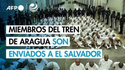 Trump envía a cárcel de El Salvador a 238 presuntos miembros del Tren de Aragua