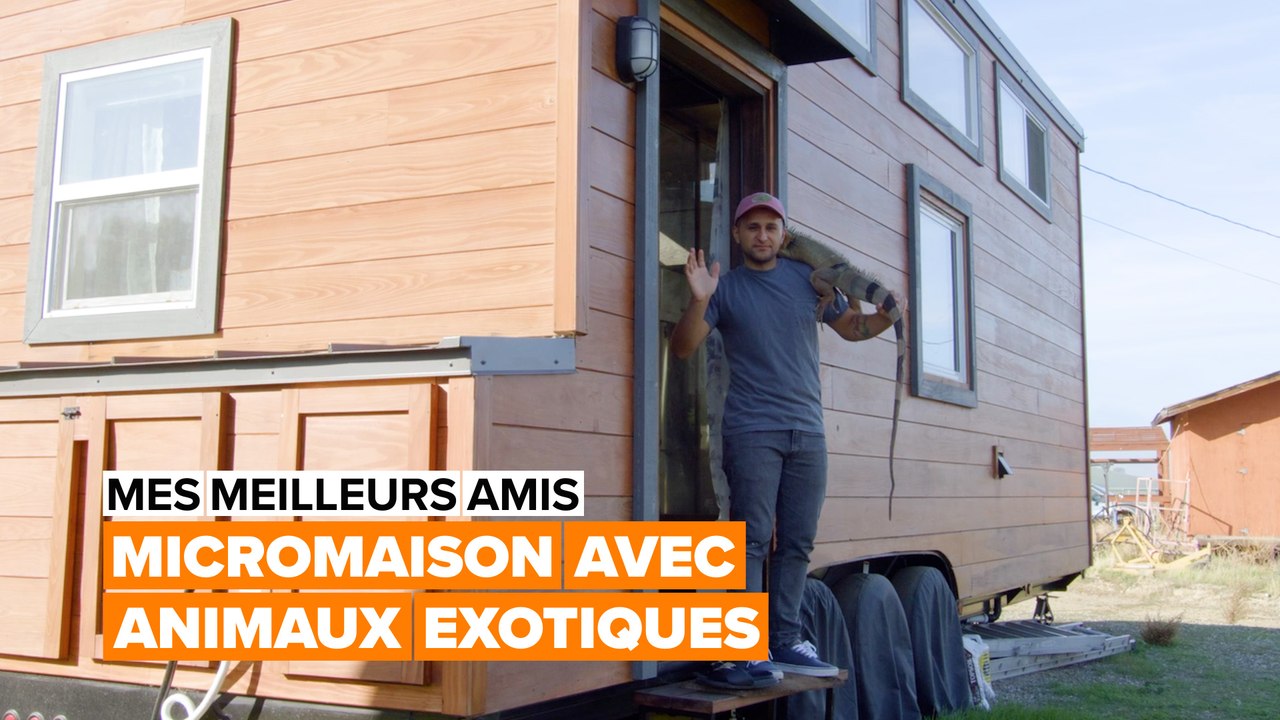 Mes meilleurs amis : il vit avec des animaux exotiques dans une micromaison