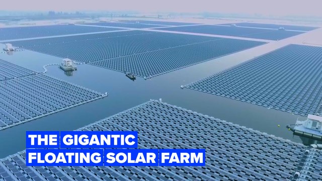 One of the world's largest floating solar farms