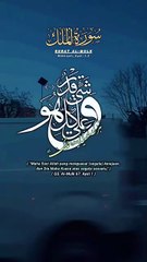 #quran #quran_alkarim #quranvideo #quran_kareem #coran #قران (2)