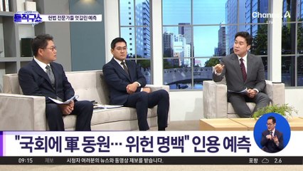 “인용” vs “기각”…헌법 전문가들 엇갈린 예측
