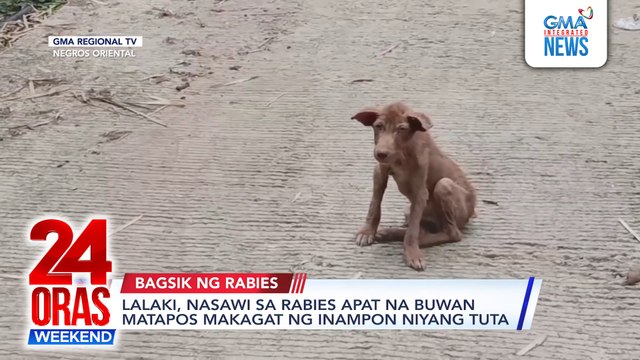 Online Exclusive - Lalaki, nasawi sa rabies apat na buwan matapos makagat ng inampon niyang tuta | 24 Oras Weekend