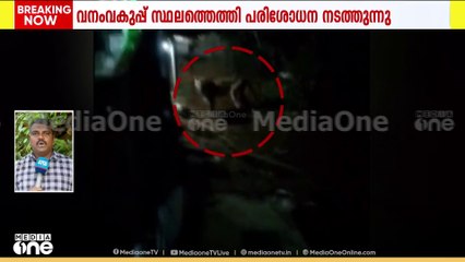 വണ്ടിപ്പെരിയാറിനു സമീപം അരണക്കല്ലിൽ കടുവ ആക്രമണം; പ്രദേശവാസികളുടെ പശുവിനെയും നായയെയും കൊന്നു