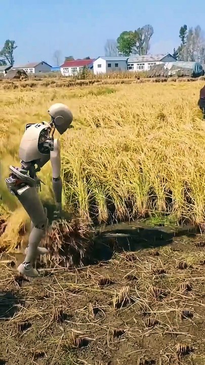 Robot Field Work