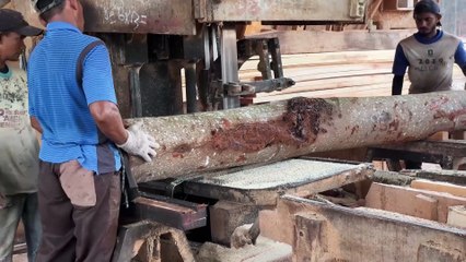 2x20 Wood Cutting Technique with Modern Sawmill Machine
