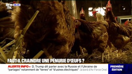 L'œuf est de plus en plus consommé par les Français, ce qui crée des tensions d'approvisionnement dans les rayons