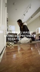 Pit Bull Knocks Her Human Aside as She Pretends to Eat From Her Bowl