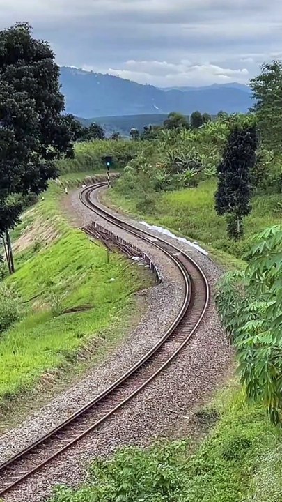 Kereta Api Papandayan adalah kereta api penumpang yang melayani rute Garut–Gambir (PP)