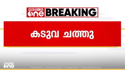വണ്ടിപ്പെരിയാറിൽ വെടിവെച്ച് പിടികൂടിയ  കടുവ ചത്തു