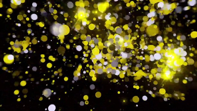 TDF hospitality by VELUX