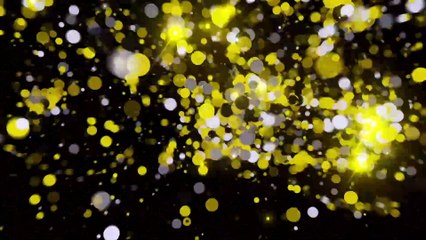 TDF hospitality by VELUX